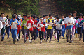 DSC_0035_thumb.png