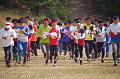 DSC_0036_thumb.png