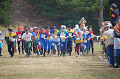 DSC_0050_thumb.png