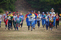 DSC_0052_thumb.png