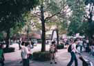 Crowd in the Park