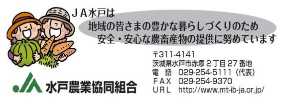 広告1