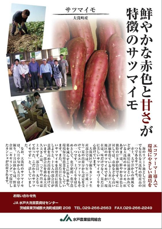 広告2