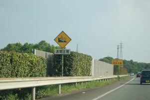 あんま大した事でもないか