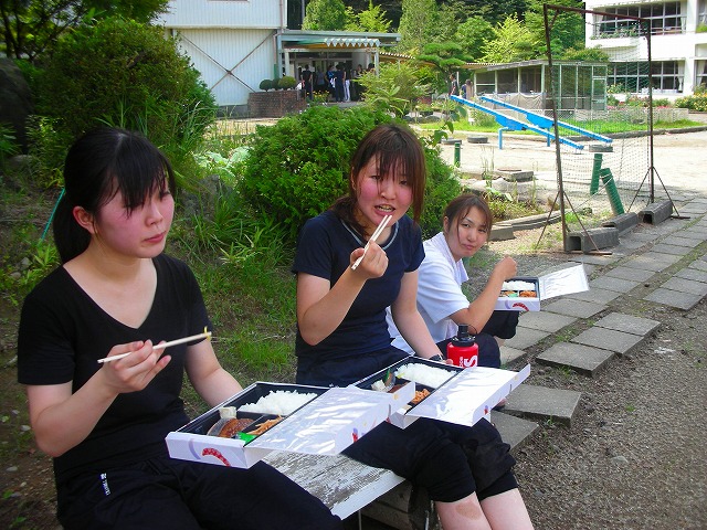 d01.jpg