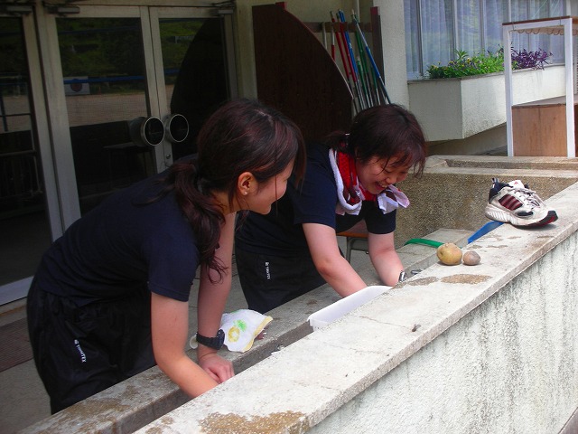 d07.jpg