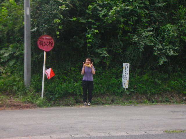e14.jpg