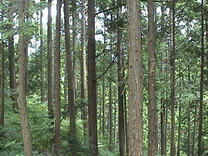 DSC00922.JPG